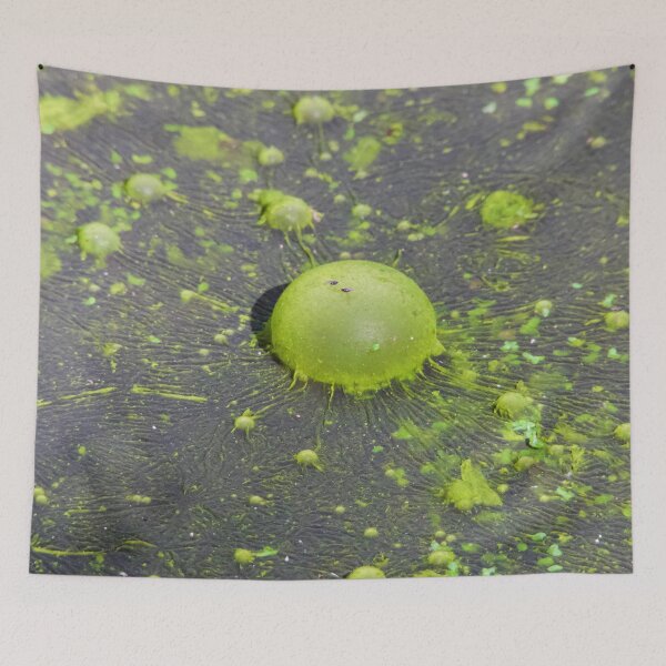 Item preview, Nature own Green, Green algae designed and sold by Mark Grimsley.