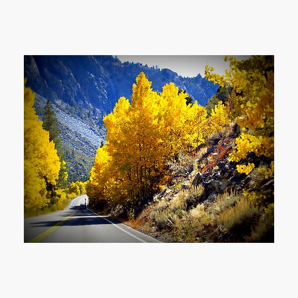Item preview, Golden Road designed and sold by Steve Hunter.