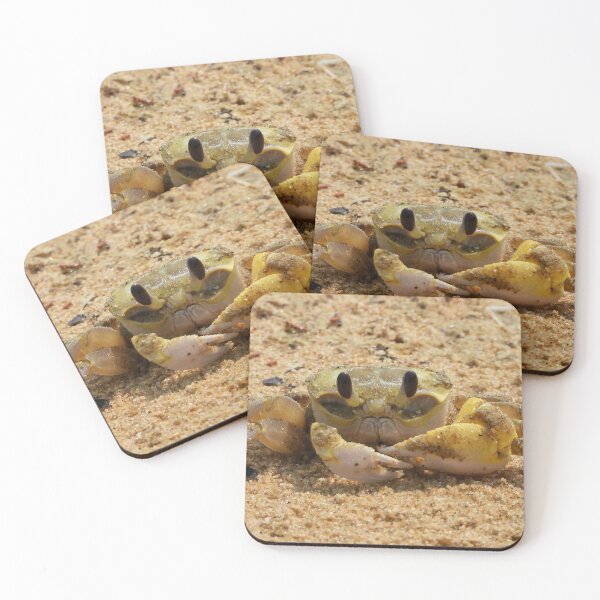 Item preview, Crab enjoying some time in the sun designed and sold by Mark Grimsley.