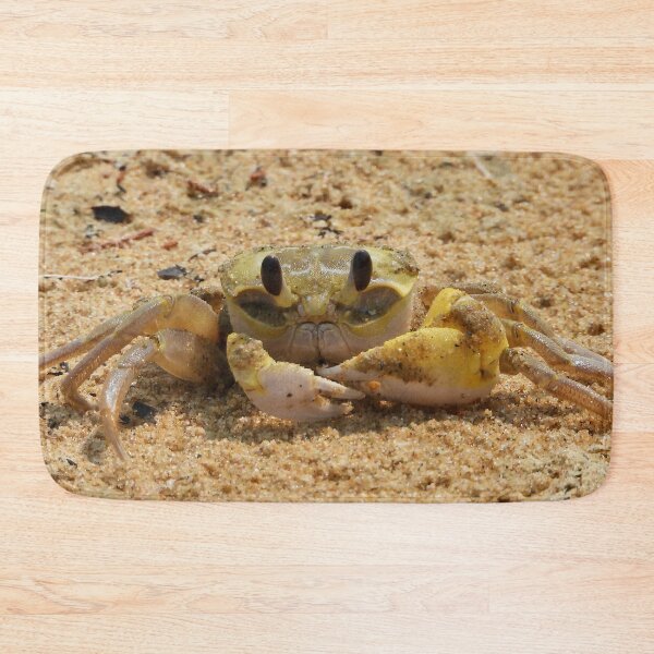 Item preview, Crab enjoying some time in the sun designed and sold by Mark Grimsley.