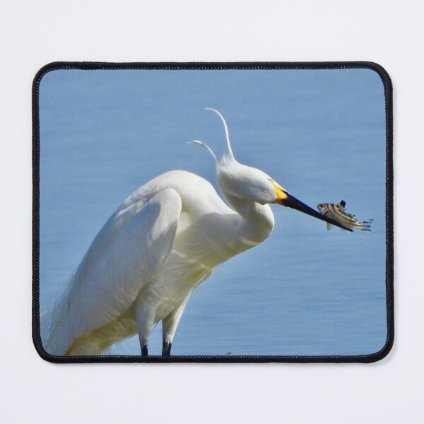 Item preview, Egret balancing act designed and sold by Mark Grimsley.