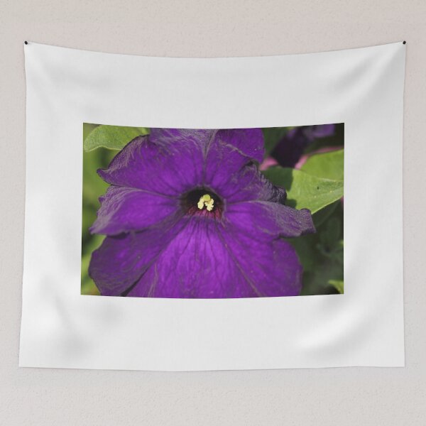 Artikelvorschau, Petunia Purple entworfen und verkauft von Mdillon.