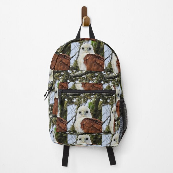 Item preview, Brahminy Kite what are you looking at designed and sold by Mark Grimsley.
