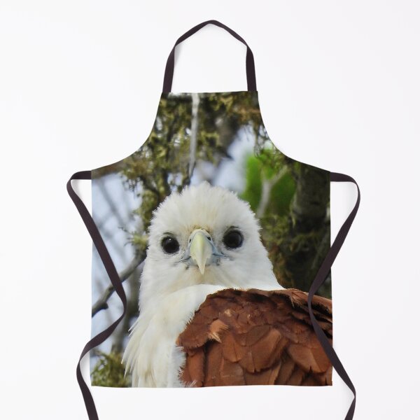 Item preview, Brahminy Kite what are you looking at designed and sold by Mark Grimsley.