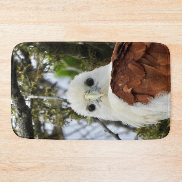 Item preview, Brahminy Kite what are you looking at designed and sold by Mark Grimsley.