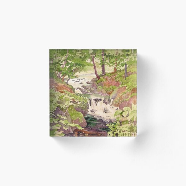 Afon Clywedog Acrylic Block