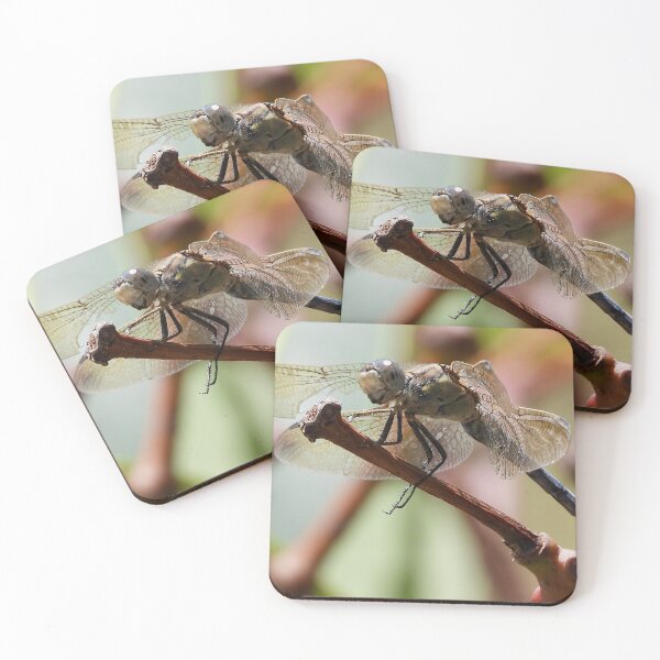 Item preview, Dragonfly drop by for a close up designed and sold by Mark Grimsley.