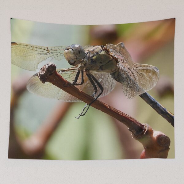 Item preview, Dragonfly drop by for a close up designed and sold by Mark Grimsley.