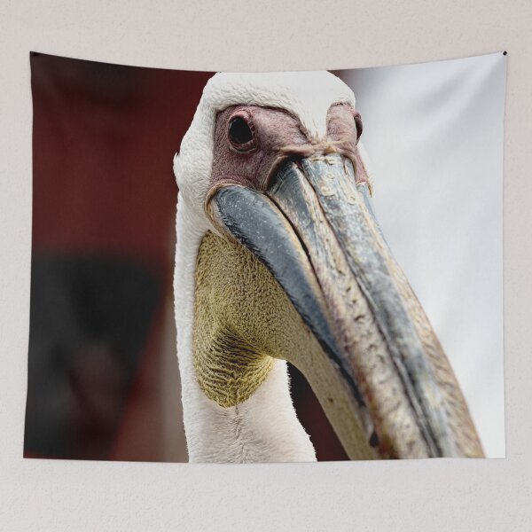 Item preview, Great White Pelican Close-up designed and sold by Marylou Badeaux.