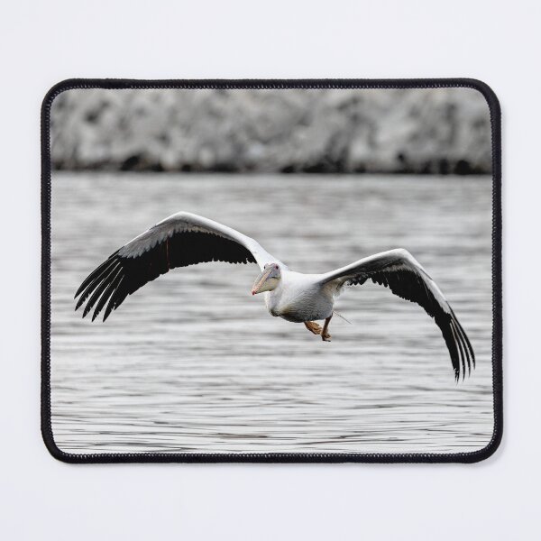 Item preview, Coming in for a Landing designed and sold by Marylou Badeaux.