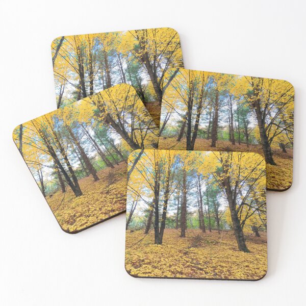 Item preview, Homestead Parklands County Park designed and sold by Designed by Southern Minnesota Guy.