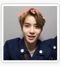 Pegatina Jungwoo