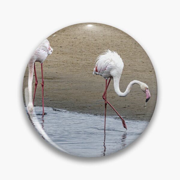 Item preview, Greater Flamingoes in Walvis Bay designed and sold by Marylou Badeaux.