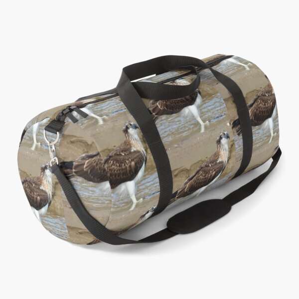 Item preview, Osprey bath time designed and sold by Mark Grimsley.