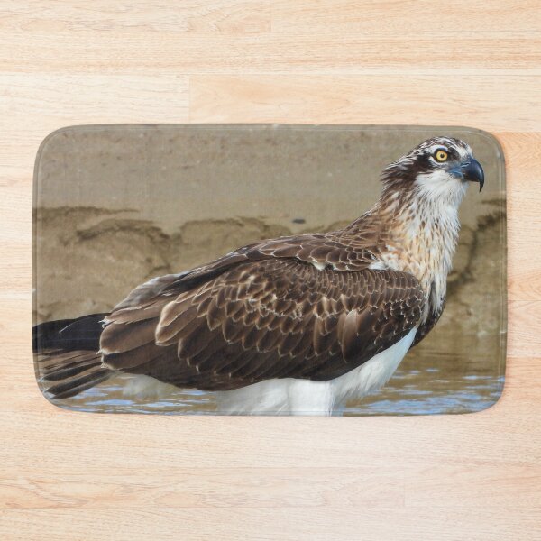 Item preview, Osprey bath time designed and sold by Mark Grimsley.