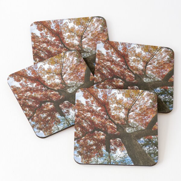 Item preview, St. Croix Boom Site State Wayside designed and sold by Designed by Southern Minnesota Guy.