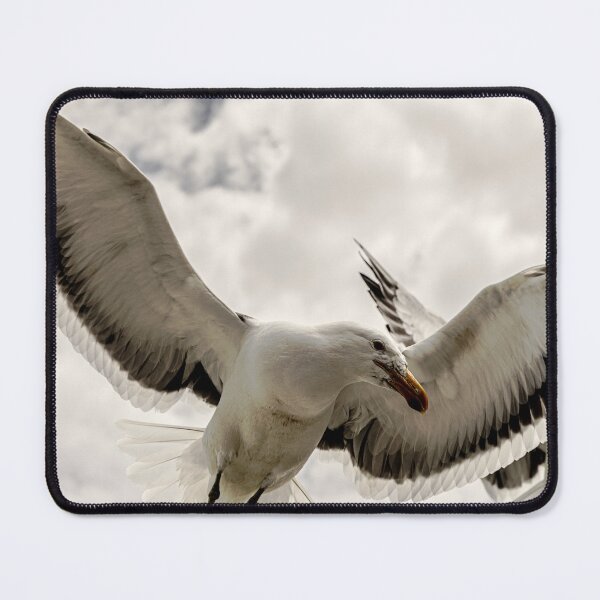 Item preview, Seagulls in the Air designed and sold by Marylou Badeaux.