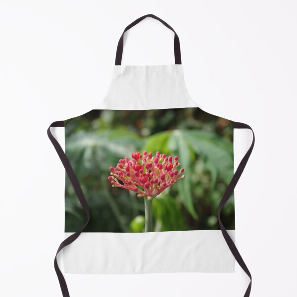 Item preview, Pink Coral Colored Flower Buds designed and sold by Paula Betz.