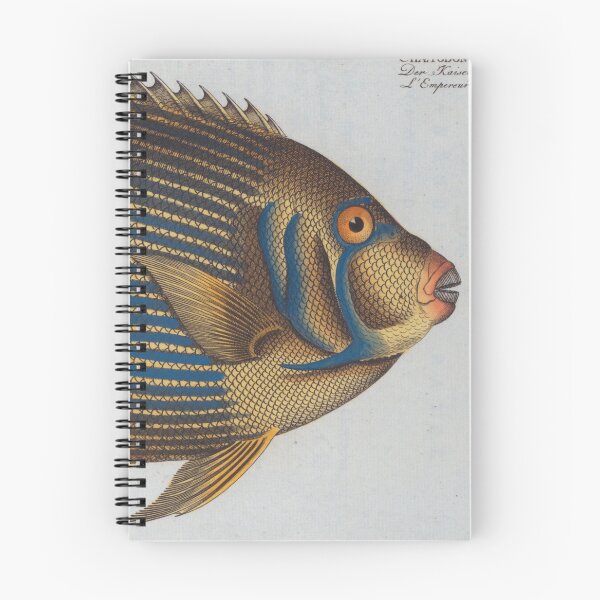 Item preview, Vintage Illustration of an Angel Fish (1785) designed and sold by BravuraMedia.