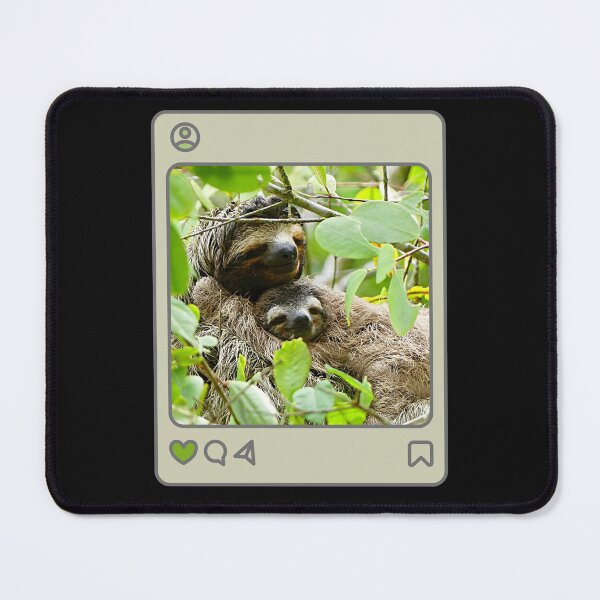Item preview, Sloths hanging in tree designed and sold by LDisme.
