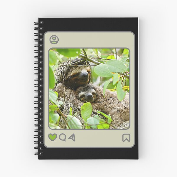 Item preview, Sloths hanging in tree designed and sold by LDisme.