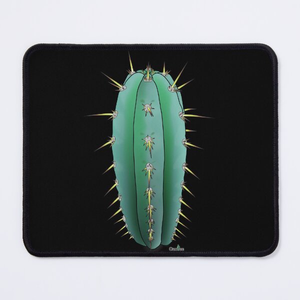 Item preview, Trichocereus Sharxx Blue (Peruvianus) side designed and sold by Cactee.