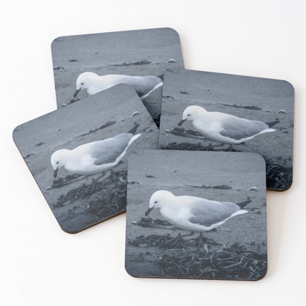 Item preview, Curious seagull on the pebble beach - stylish photo print for nature lovers designed and sold by TRex-Landscapes.
