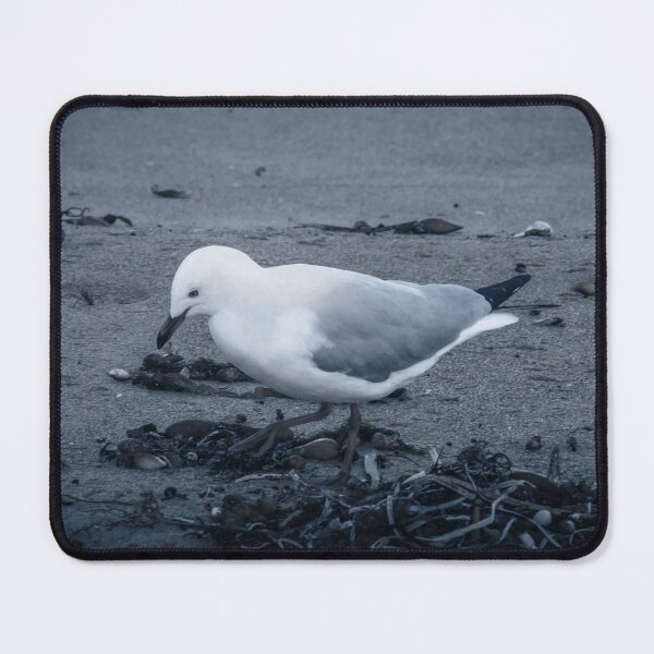 Item preview, Curious seagull on the pebble beach - stylish photo print for nature lovers designed and sold by TRex-Landscapes.