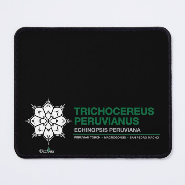 Item preview, Trichocereus Peruvianus - Echinopsis Peruviana Cactus designed and sold by Cactee.