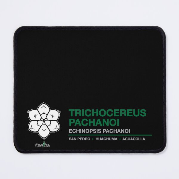 Item preview, Trichocereus Pachanoi - Echinopsis Pachanoi Cactus designed and sold by Cactee.