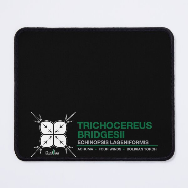 Item preview, Trichocereus Bridgesii - Echinopsis Lageniformis Cactus designed and sold by Cactee.