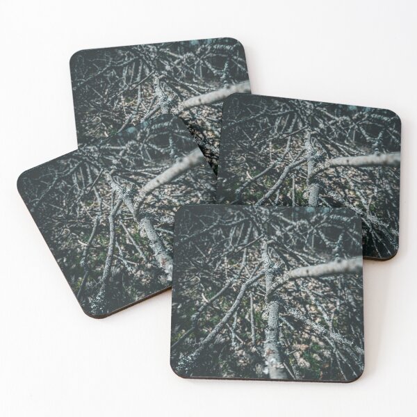Item preview, Interwoven branches in the wild forest - high-contrast photo print for nature lovers designed and sold by TRex-Landscapes.