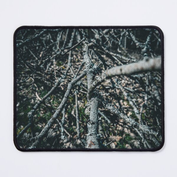 Item preview, Interwoven branches in the wild forest - high-contrast photo print for nature lovers designed and sold by TRex-Landscapes.