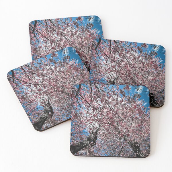 Item preview, Blooming splendor under a blue sky - Vibrant cherry blossom photo print designed and sold by TRex-Landscapes.