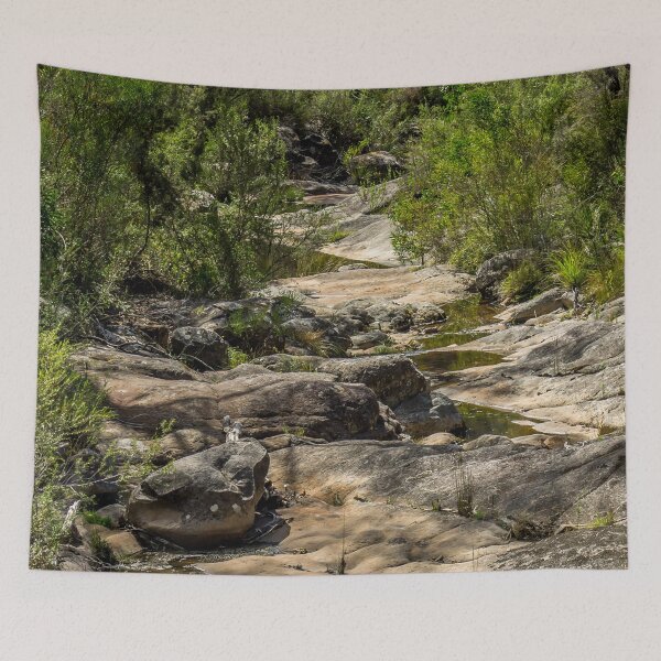 Item preview, Dry river bed in eucalyptus landscape - nature inspired photo print Pinnacles, Australia designed and sold by TRex-Landscapes.