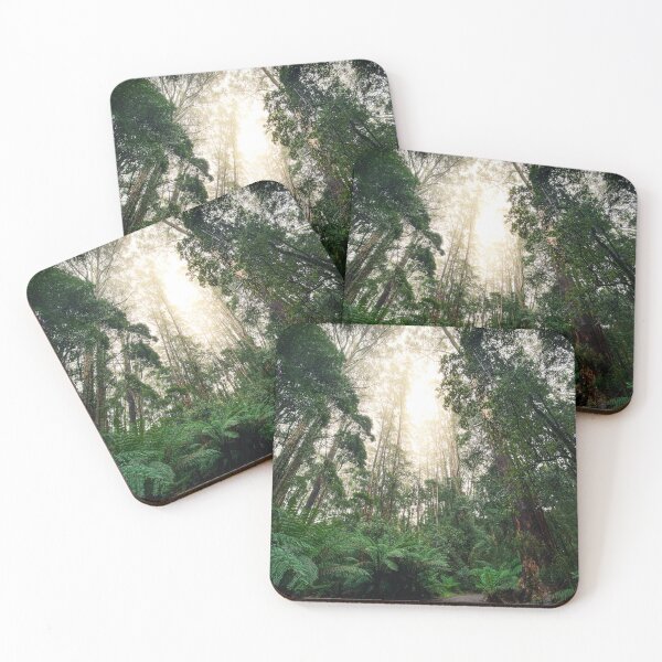 Item preview, Mystical Cloud Forest - Sublime nature photography as a high-quality photo print - Otway Treetop Australia designed and sold by TRex-Landscapes.