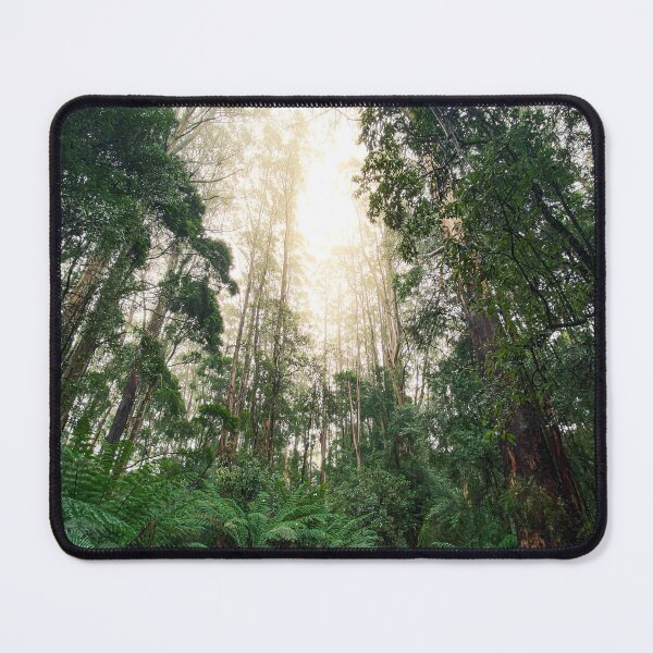 Item preview, Mystical Cloud Forest - Sublime nature photography as a high-quality photo print - Otway Treetop Australia designed and sold by TRex-Landscapes.