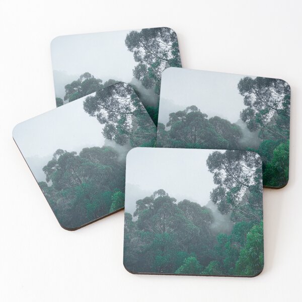 Item preview, Hidden Eucalyptus Paradise in the Mist - Exquisite Photo Print for Nature Lovers Otway Treetop Australia designed and sold by TRex-Landscapes.