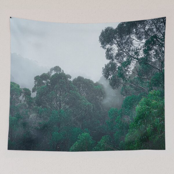 Item preview, Hidden Eucalyptus Paradise in the Mist - Exquisite Photo Print for Nature Lovers Otway Treetop Australia designed and sold by TRex-Landscapes.