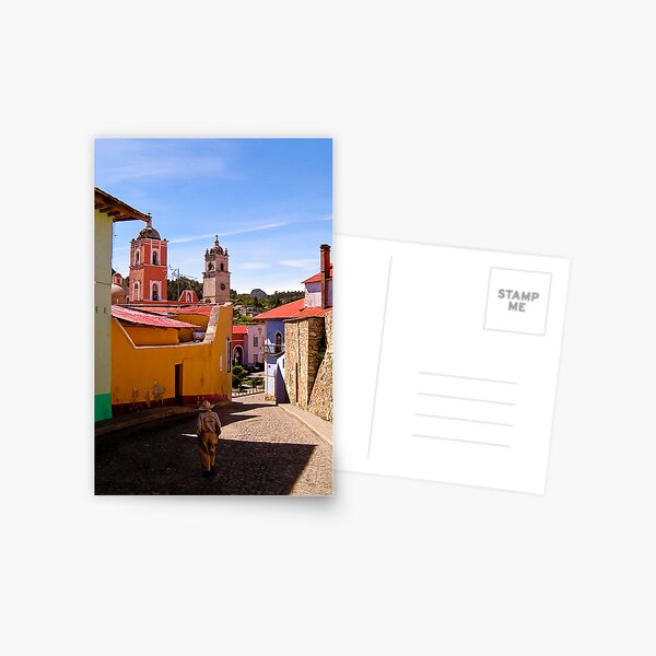 Guided by a Star Postcard