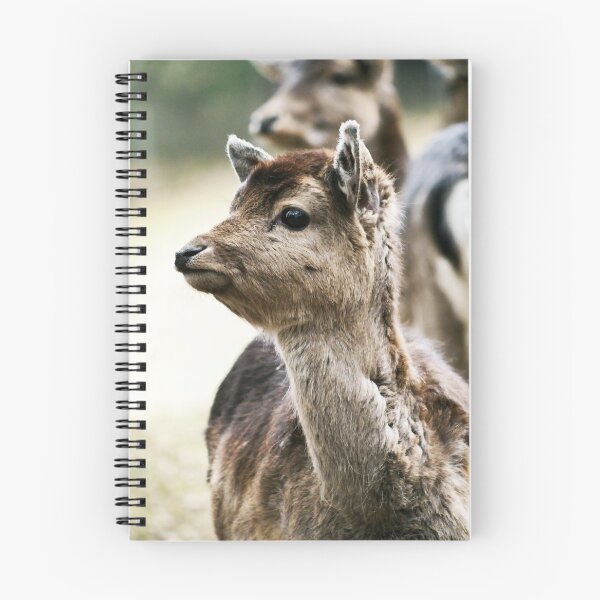 Item preview, A fawn in the forest designed and sold by MichaelMauerer.