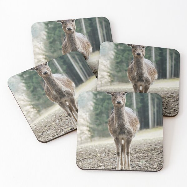 Item preview, A deer in the forest designed and sold by MichaelMauerer.
