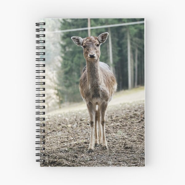 Item preview, A deer in the forest designed and sold by MichaelMauerer.