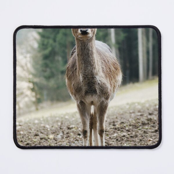 Item preview, A deer in the forest designed and sold by MichaelMauerer.
