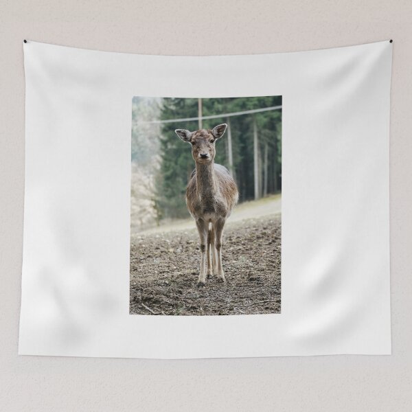 Item preview, A deer in the forest designed and sold by MichaelMauerer.