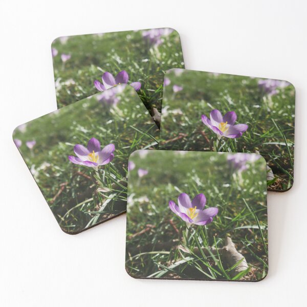 Item preview, Flower in a meadow designed and sold by MichaelMauerer.