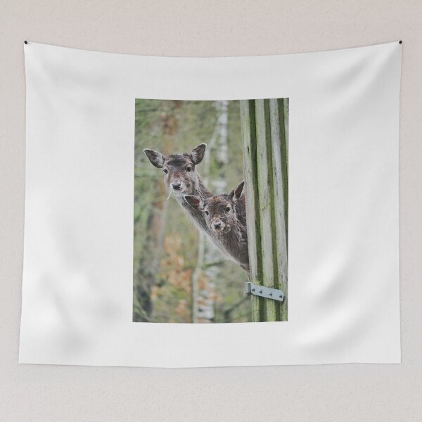 Item preview, Two deer look out from behind a barn designed and sold by MichaelMauerer.