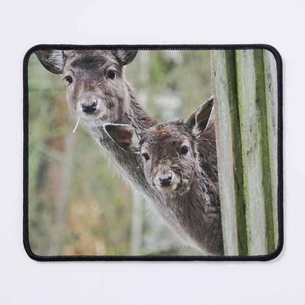 Item preview, Two deer look out from behind a barn designed and sold by MichaelMauerer.