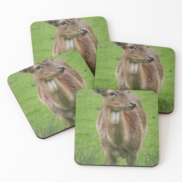 Item preview, Deer in a meadow designed and sold by MichaelMauerer.