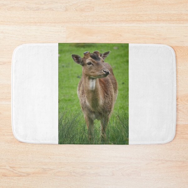 Item preview, Deer in a meadow designed and sold by MichaelMauerer.